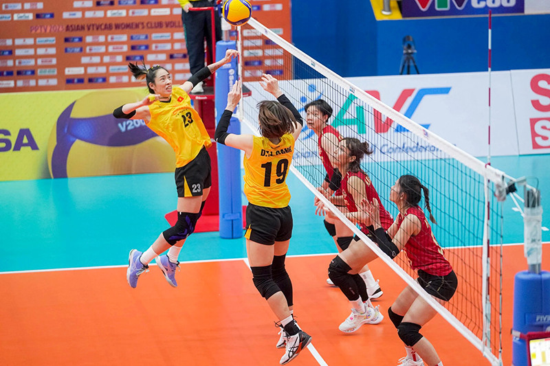 Cá Cược Bóng Chuyền